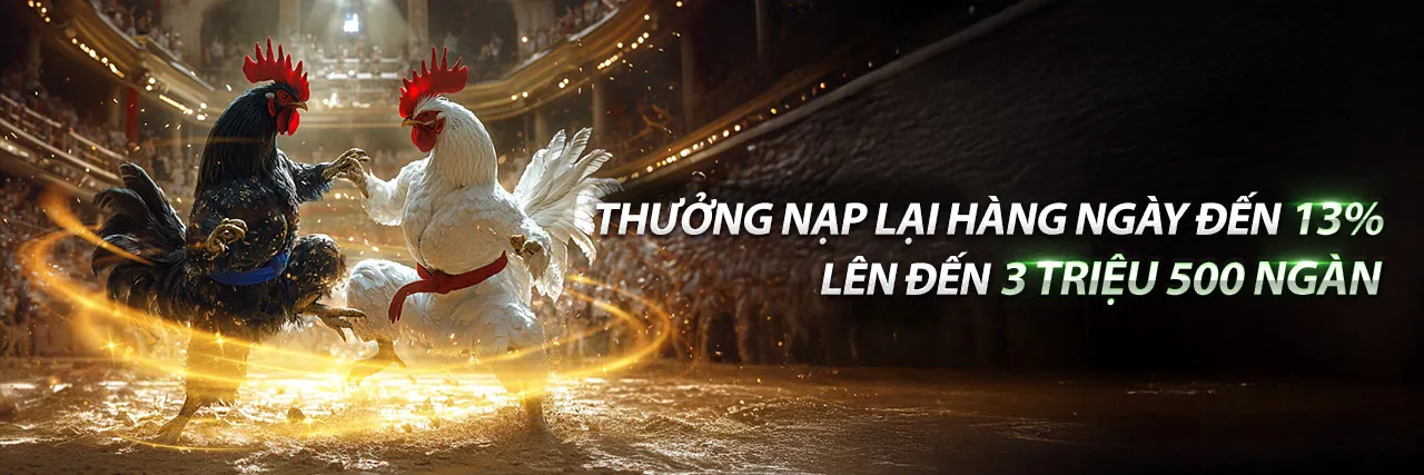 Đá gà Thomo hôm nay có bình luận viên